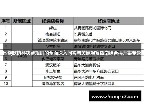 围绕欧协杯决赛规则的全面深入问答与关键观赛指南综合提升集专题