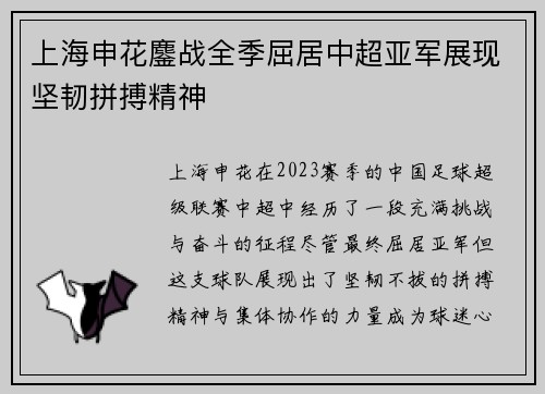 上海申花鏖战全季屈居中超亚军展现坚韧拼搏精神